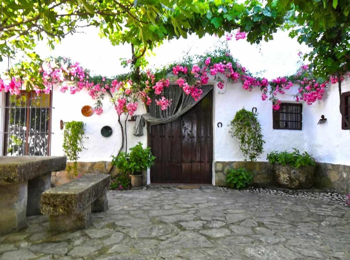 Cortijo La Gineta Guest House Алкала ла Реал Екстериор снимка