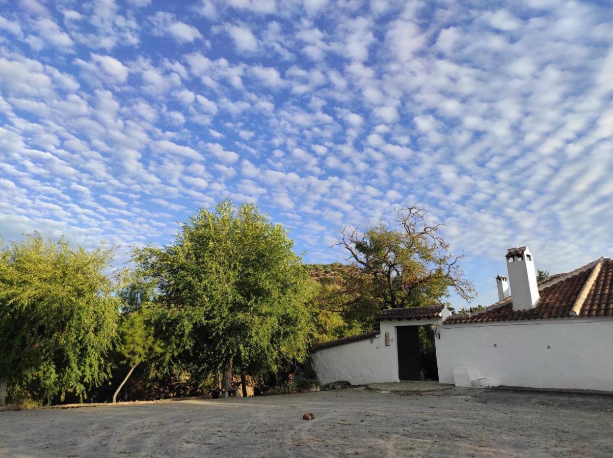 Cortijo La Gineta Guest House Алкала ла Реал Екстериор снимка